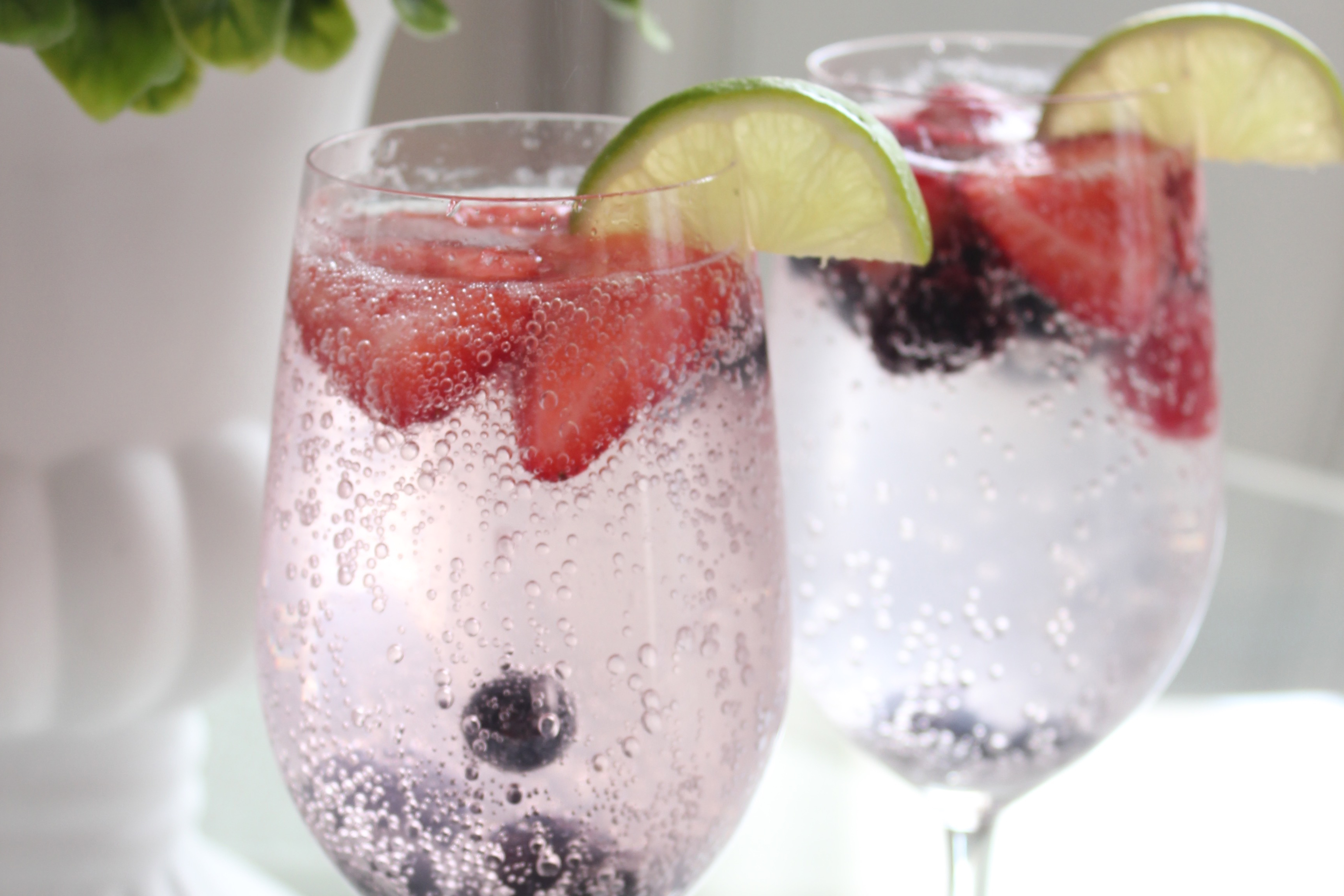 Berry Lime Spritzer